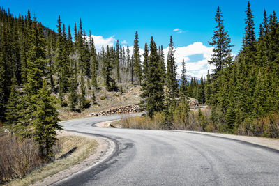 Road amidst trees against sky