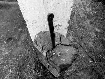 Close-up of wood