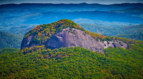 Scenic view of landscape