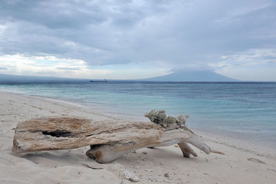 Scenic view of driftwood on beach against sky