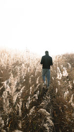 Rear view of man standing on field against clear sky