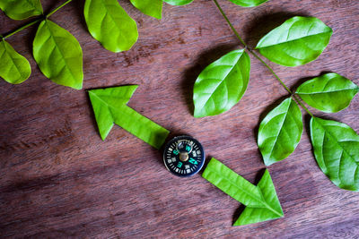Directly above shot of navigational compass with leaves on table