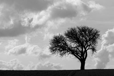 Silhouette bare tree against cloudy sky at dusk