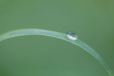 Close-up of water