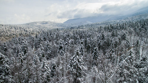 Scenic view of snow covered land against sky