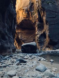 Bold rock in zion canyon