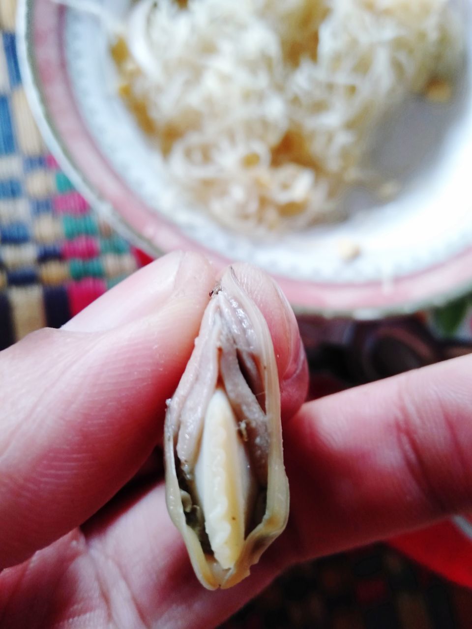 CLOSE-UP OF HAND HOLDING ICE CREAM WITH BREAD