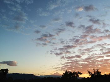 Silhouette of trees at sunset