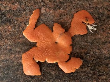 High angle view of orange leaf on rock