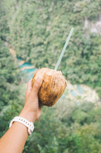 Close-up of woman hand holding coconut