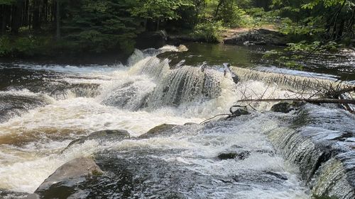 Water flowing through rocks in forest