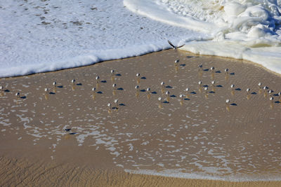 High angle view of beach