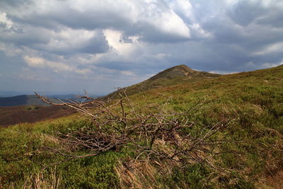 Scenic view of field against sky