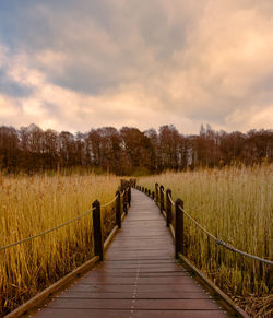 View of footpath in field against cloudy sky