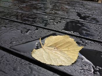 High angle view of water drops on leaf