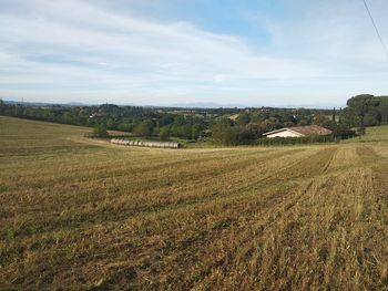 Scenic view of field against sky