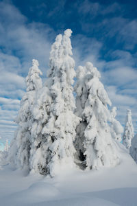 Snow covered land against sky