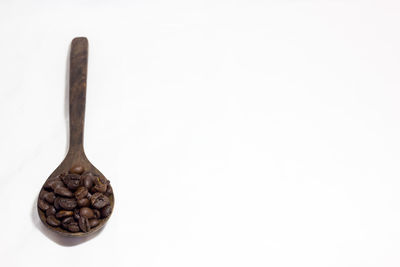 Close-up of cake against white background