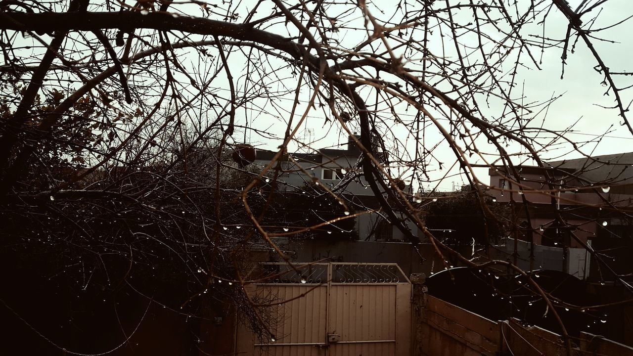 tree, building exterior, built structure, no people, sky, architecture, low angle view, outdoors, day, nature