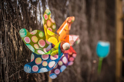 Close-up of colorful pinwheel