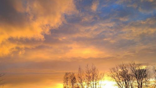 Low angle view of bare trees against sky at sunset