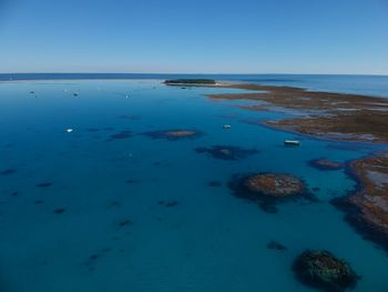 Lady musgrave island