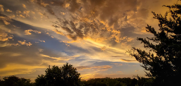 Low angle view of silhouette trees against sky during sunset