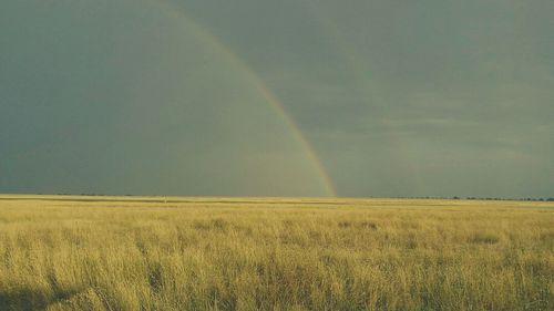 Scenic view of field against rainbow in sky