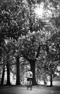 Rear view of man riding bicycle