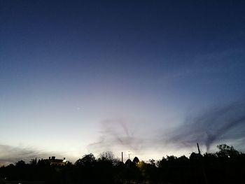 Low angle view of silhouette trees against sky at night