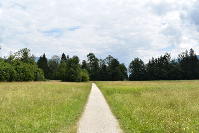 Scenic view of trees on field against sky