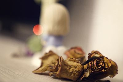 Close-up of dried flowers on table