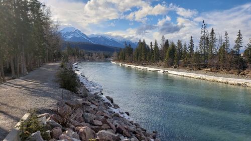 Scenic view of river amidst trees against sky