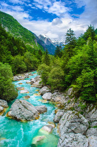 Rafting sport background river course valley vertical nature panorama .