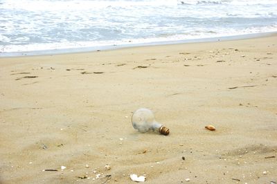 View of lightbulb on beach