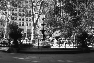 Bare trees in park