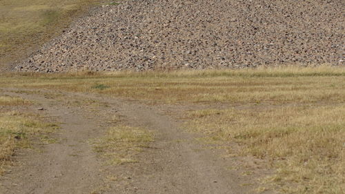 Scenic view of farm