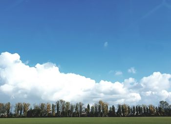 Trees on field against sky