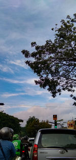 People on road by trees against sky in city