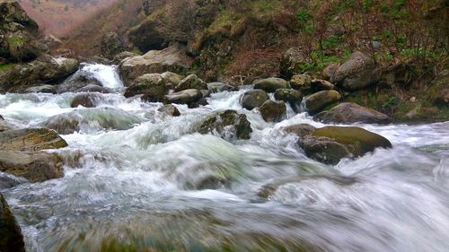 Close-up of waterfall against trees