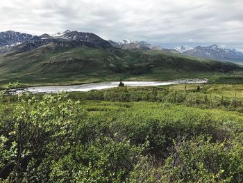 Scenic view of landscape against sky