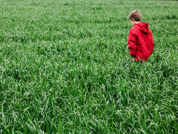 Rear view of boy on grassy field