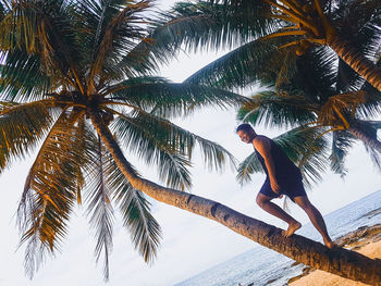 Low angle view of man climbing on palm tree at beach against sky