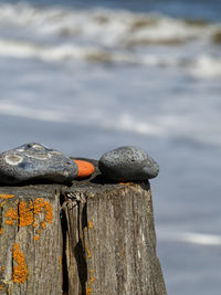 Close-up of wooden post on rock