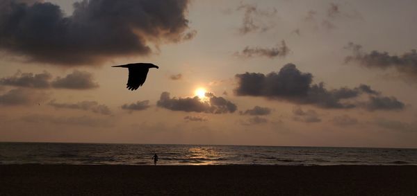 Scenic view of sunset over sea