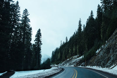 Surface level of country road along trees