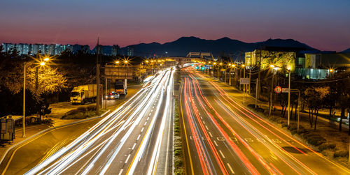 High angle view of light trails on city street