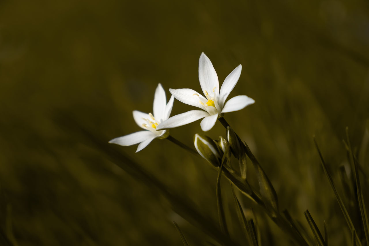 Mario Koch Fotografie