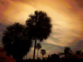 Low angle view of palm trees against cloudy sky