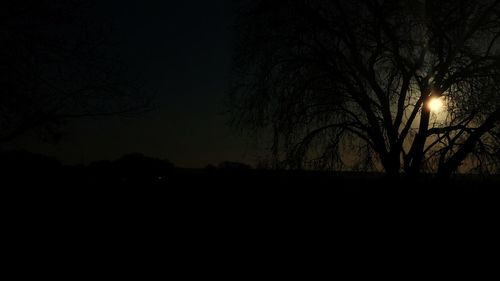 Silhouette of bare trees against sky at night